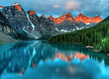 黄金甲体育官方网站：开启健康生活的新入口